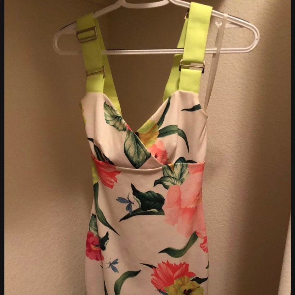 NWOT Ted Baker Taylor Flowers At High Tea Dress